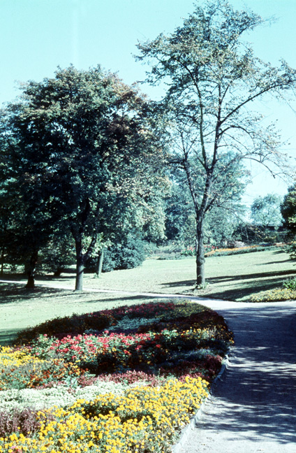 M21-Auf der Hardt, Wuppertal - 1959